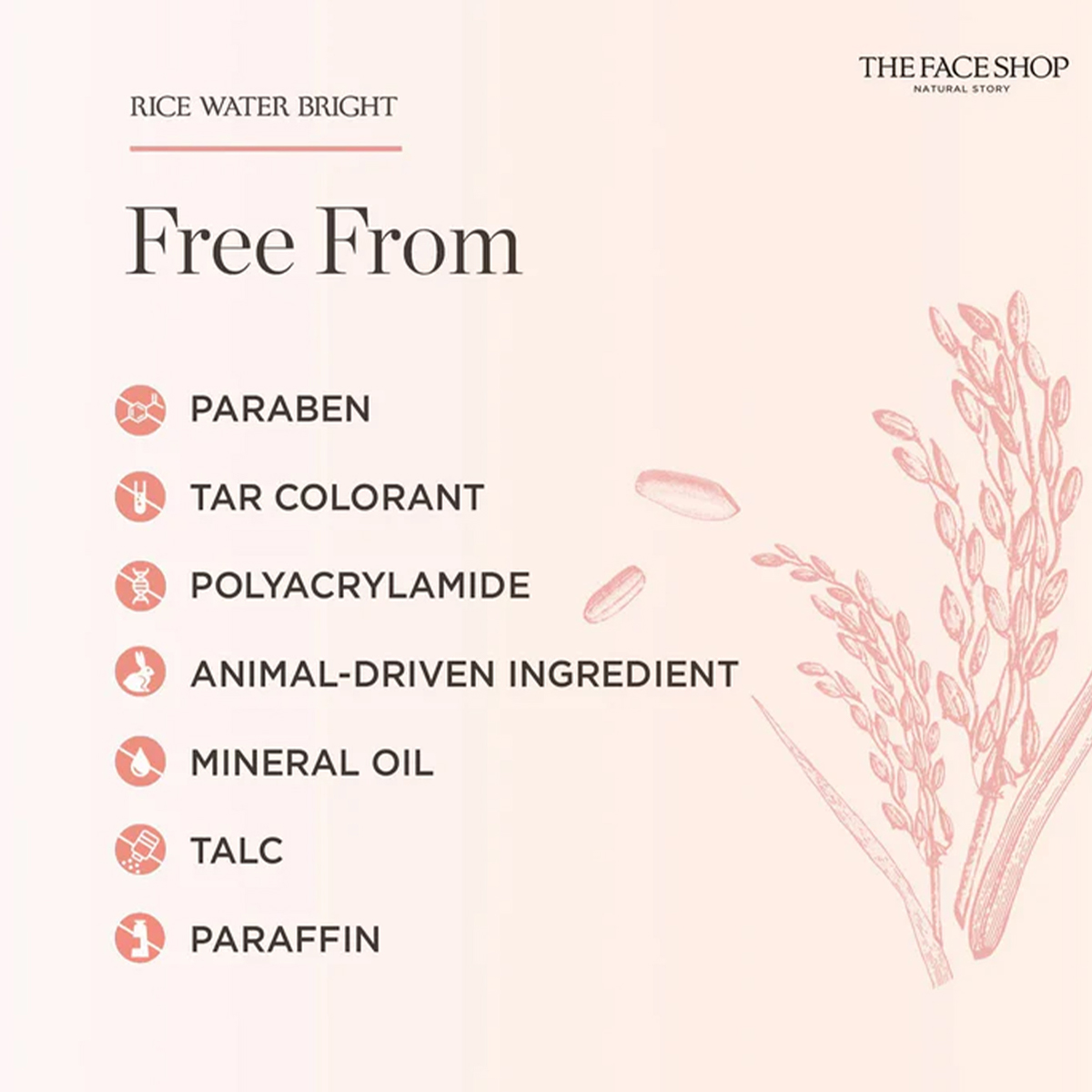 THE FACE SHOP RICE WATER BRIGH - High Luxury Skincare review and price